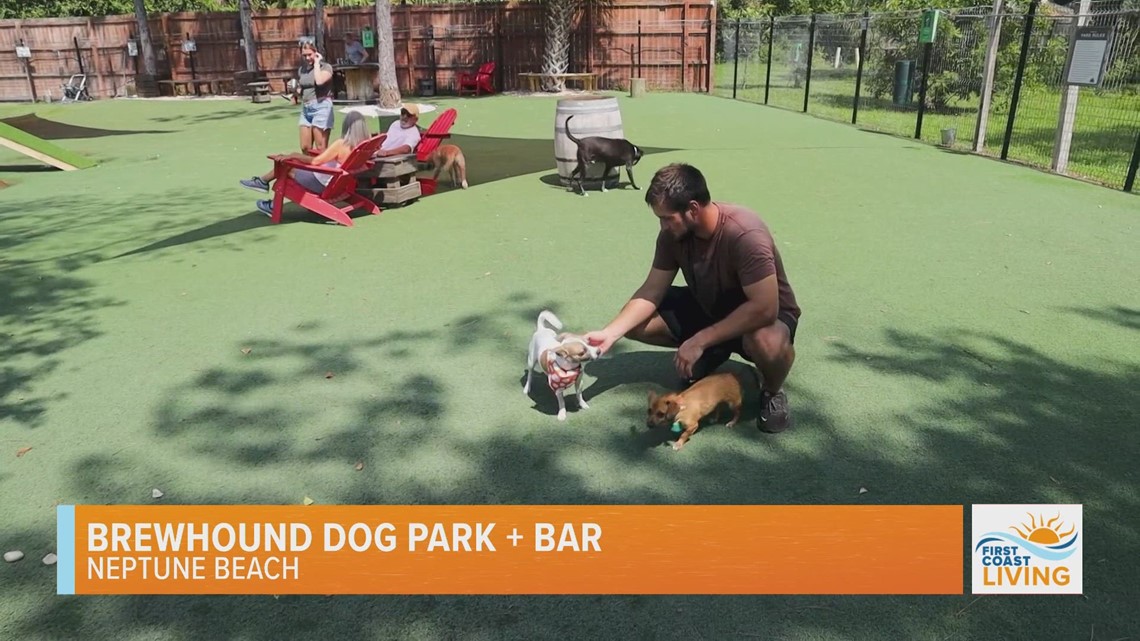 Brewhound Dog Park & Bar is a tailwaggin' good time!
