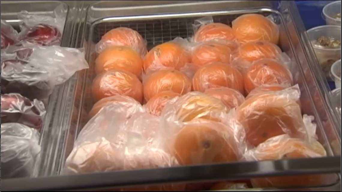Lawmakers call on Fla. governor to apply for child food stamps