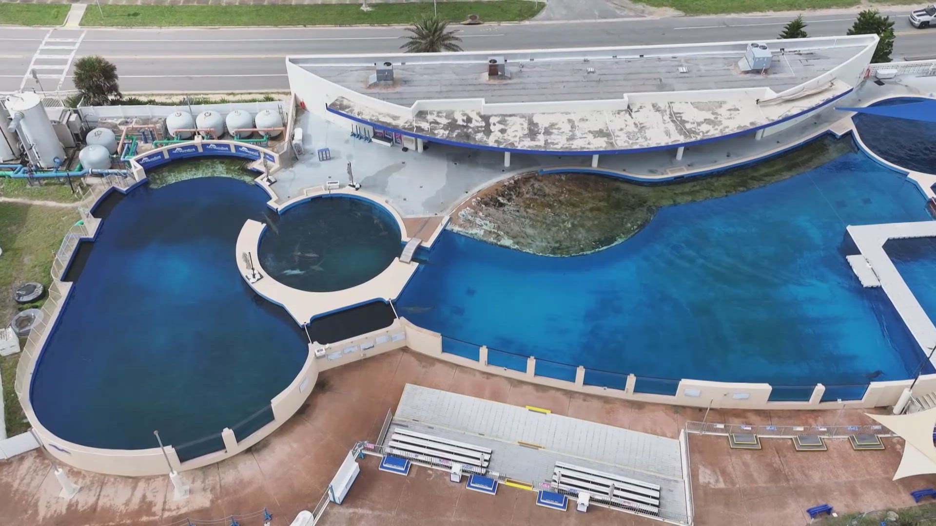 She, a dolphin researcher, and two benefactors win the judge's approval to buy Marineland Dolphin Adventure 