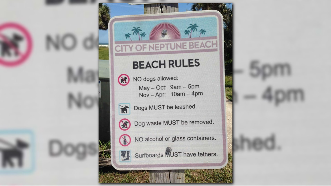 what beaches in jacksonville allow dogs