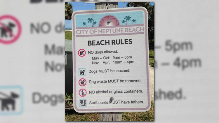 Here are the new rules for allowing dogs on the beach | firstcoastnews.com