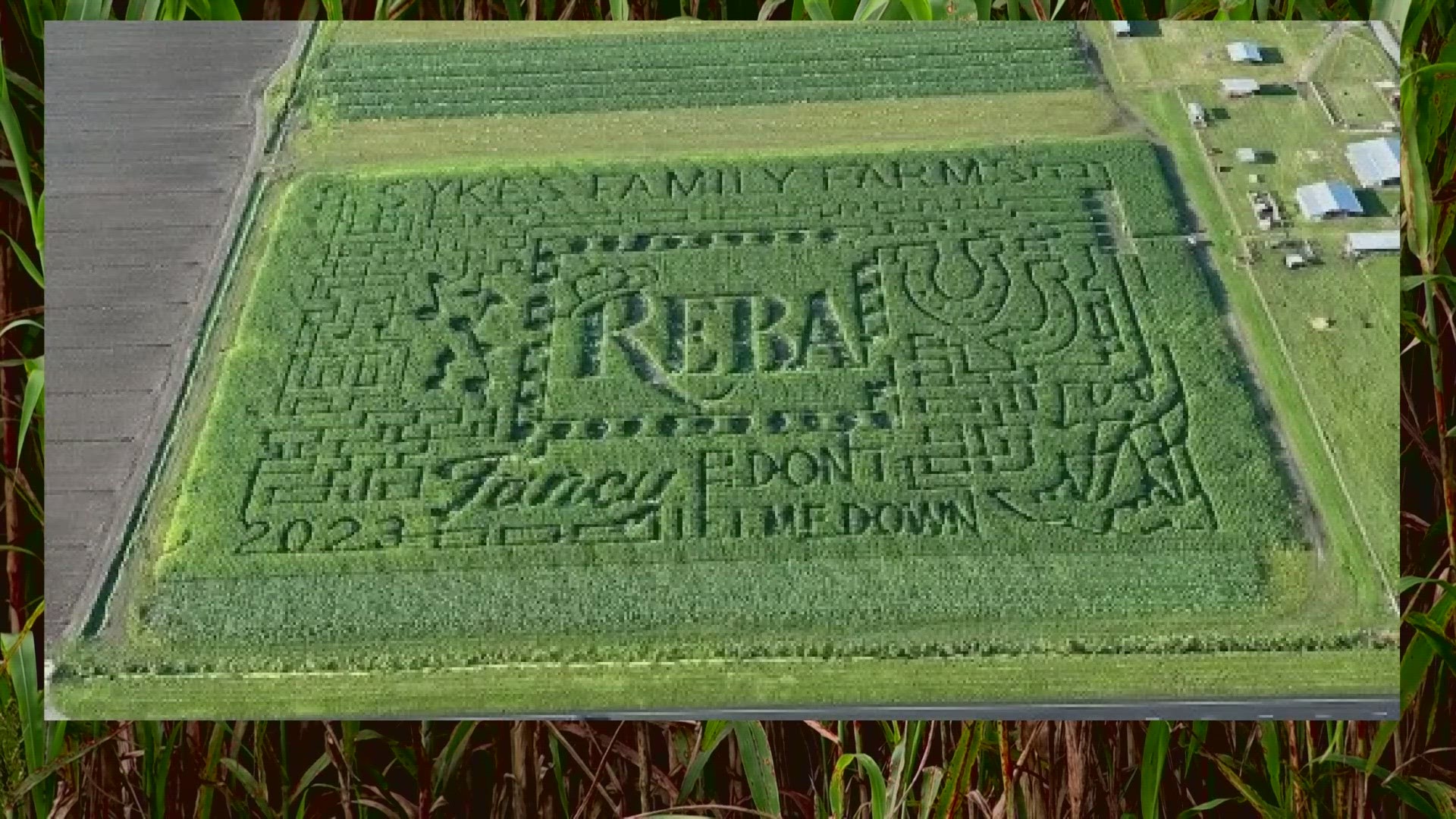 The corn maze itself is fine, but the parking lots are soggy.