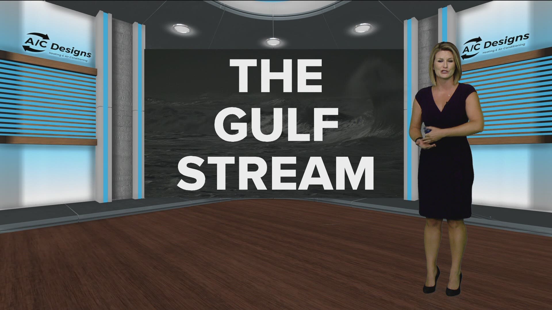 The Gulf Stream is a strong ocean current brings warm water from the Gulf of Mexico all the way up the eastern coast of the U.S. and Canada.