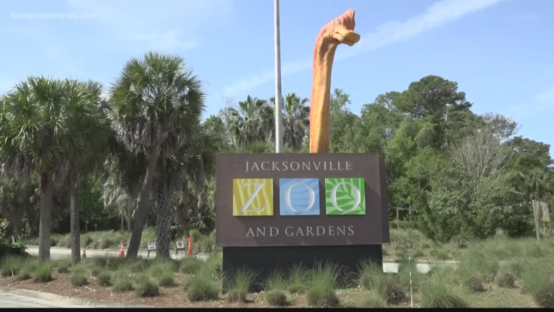 Zookeepers are continuing to care for the animals inside the Jacksonville Zoo and Gardens amid the coronavirus pandemic.