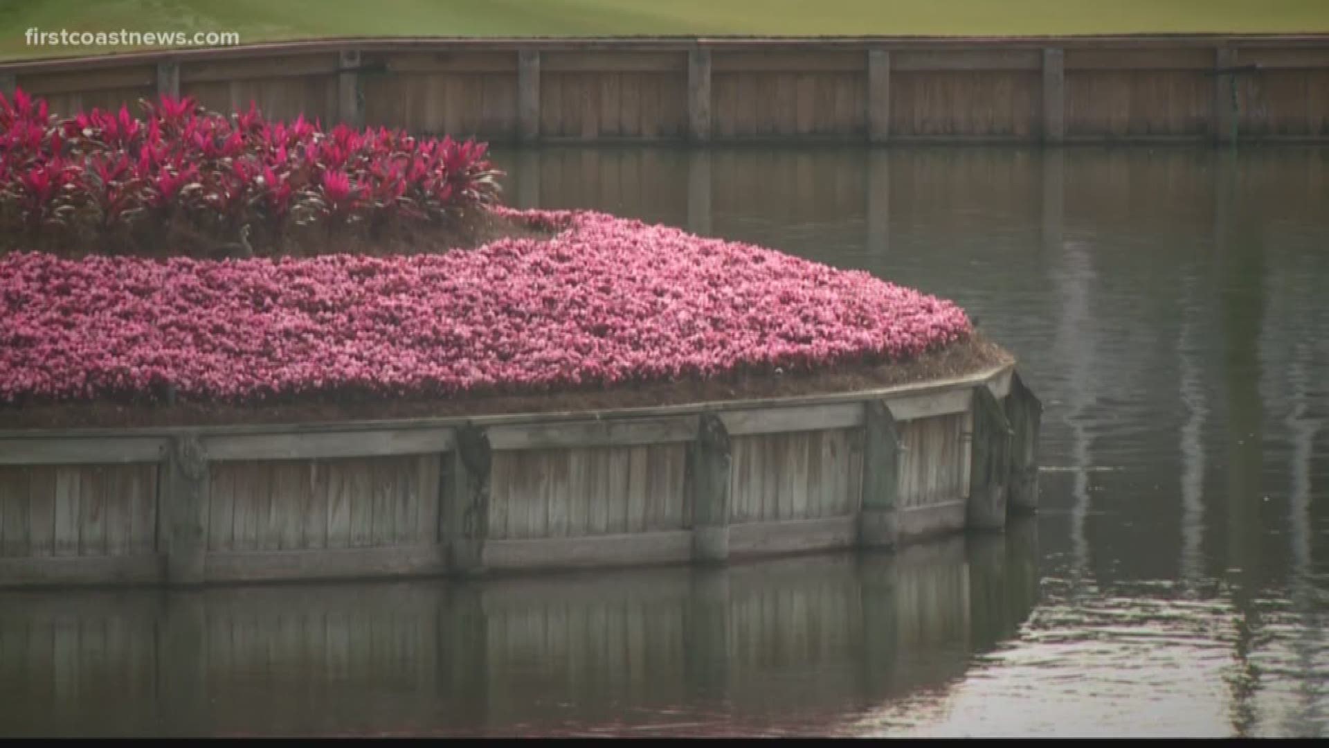 FCN's Juliette Dryer explains how TPC worked tirelessly to go pink for Mother's Day on Sunday.