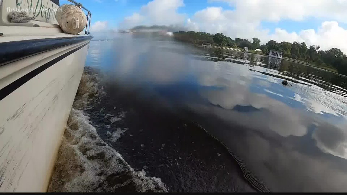 Florida's population boom is impacting the state's waterways - Vimarsana News