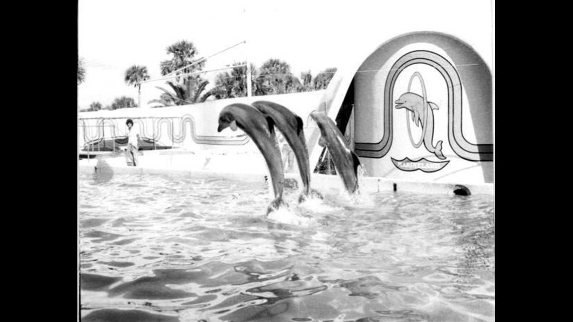 GALLERY: Marineland celebrating its 80th anniversary on Thursday