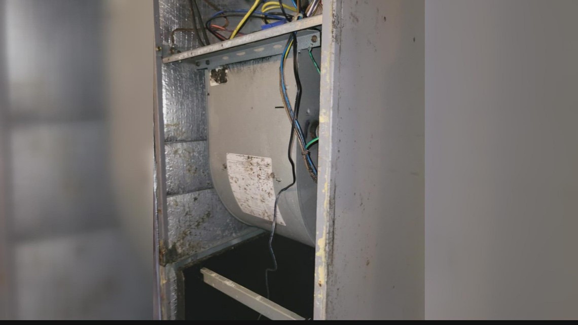 Jacksonville military mom battles landlord over mold infestation - Vimarsana News