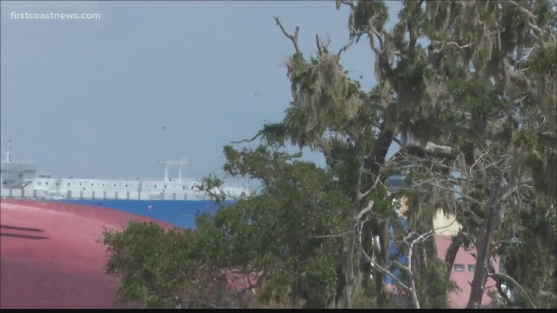 A cargo ship was able to pass the capsized Golden Ray with no issues. Locals say the port's operations has ripple effects worldwide.