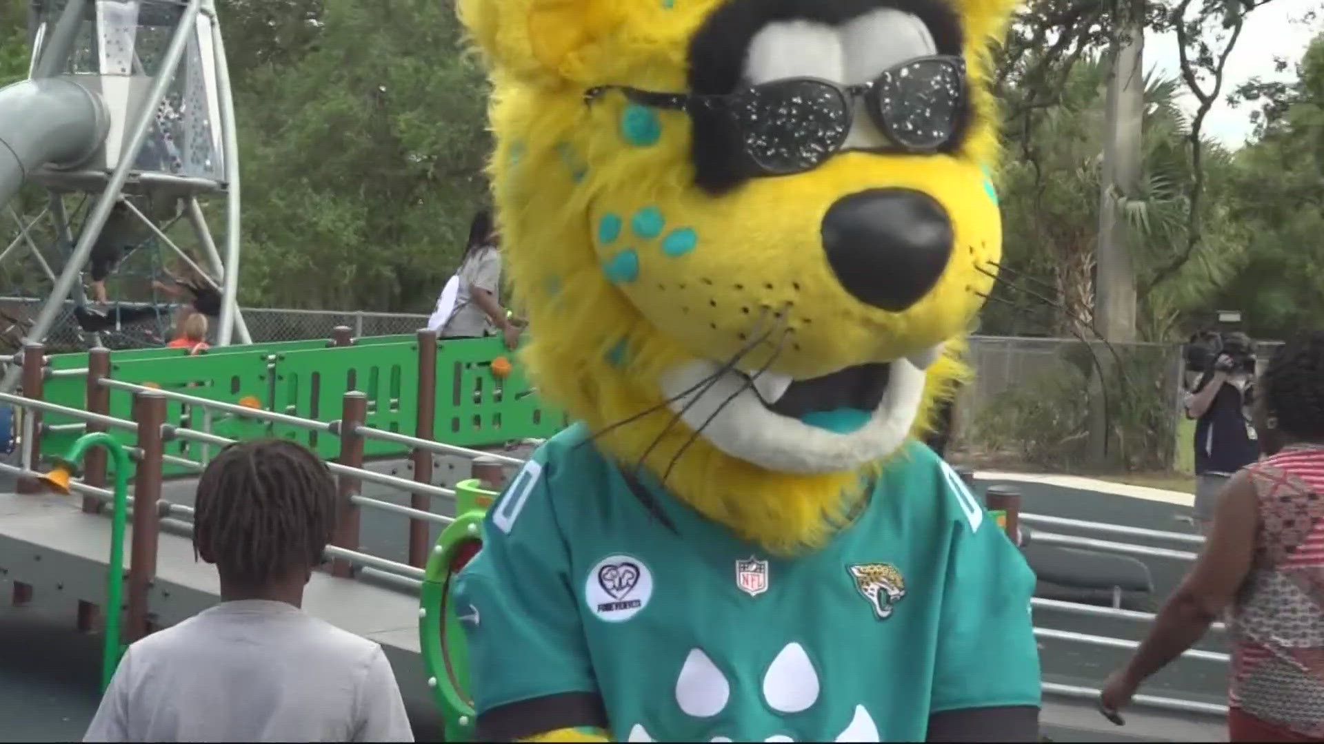 Jaguars Community: Jacksonville Jaguars 