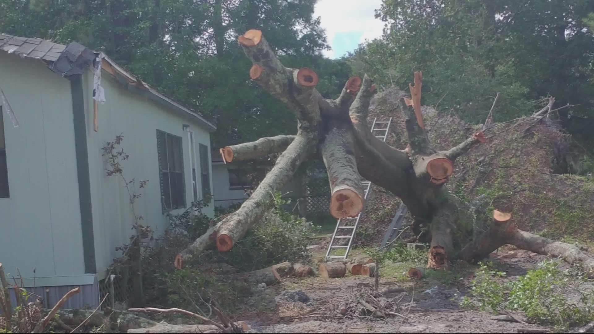 An evening storm in August 2020 uprooted a large tree in Angela Jones' front yard.  It landed on a portion of her bathroom.