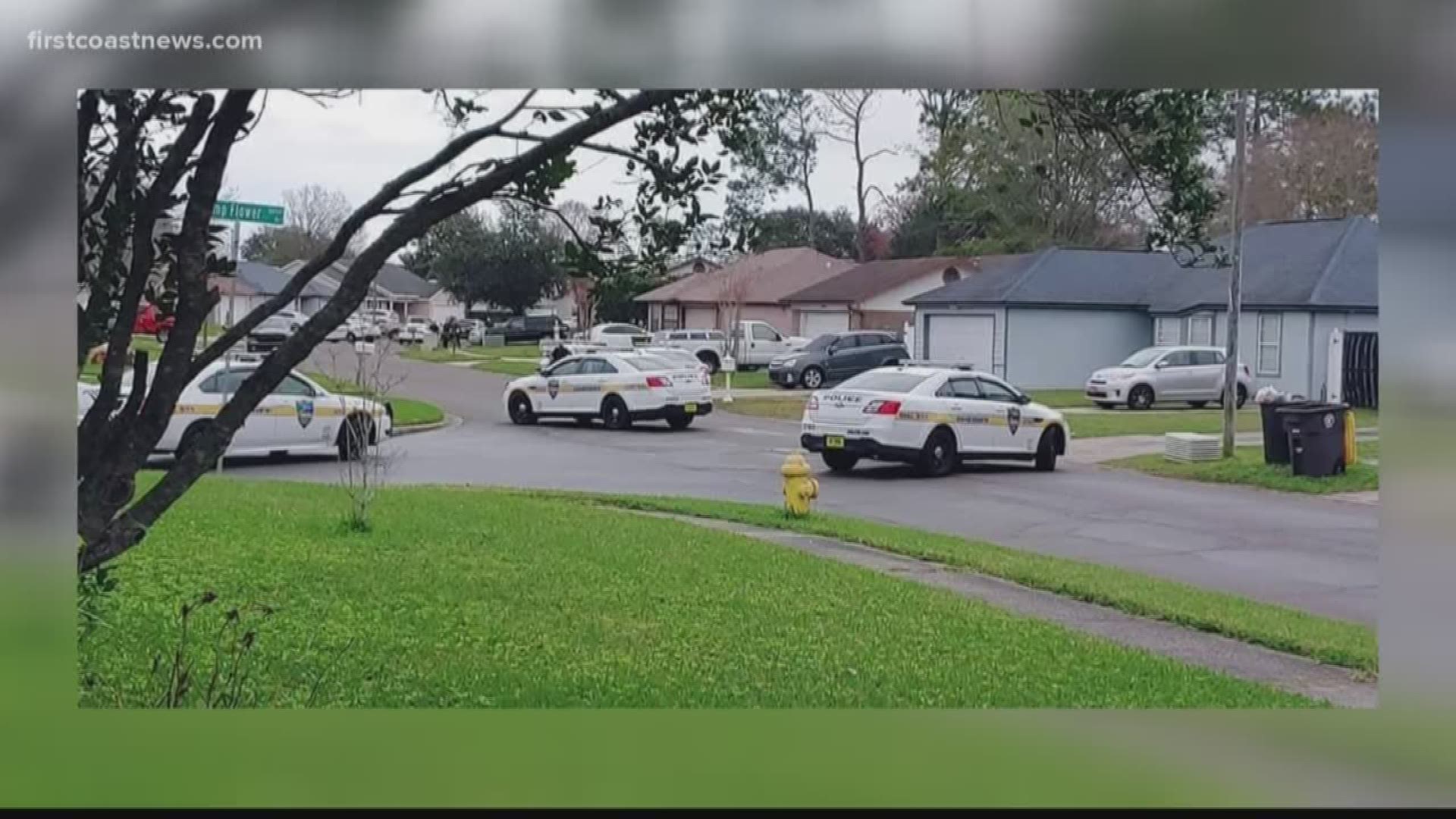 At least five JSO patrol cars can be seen at an Argyle Forest neighborhood located at the intersection of Swamp Flower Drive and Eagles Perch Drive.