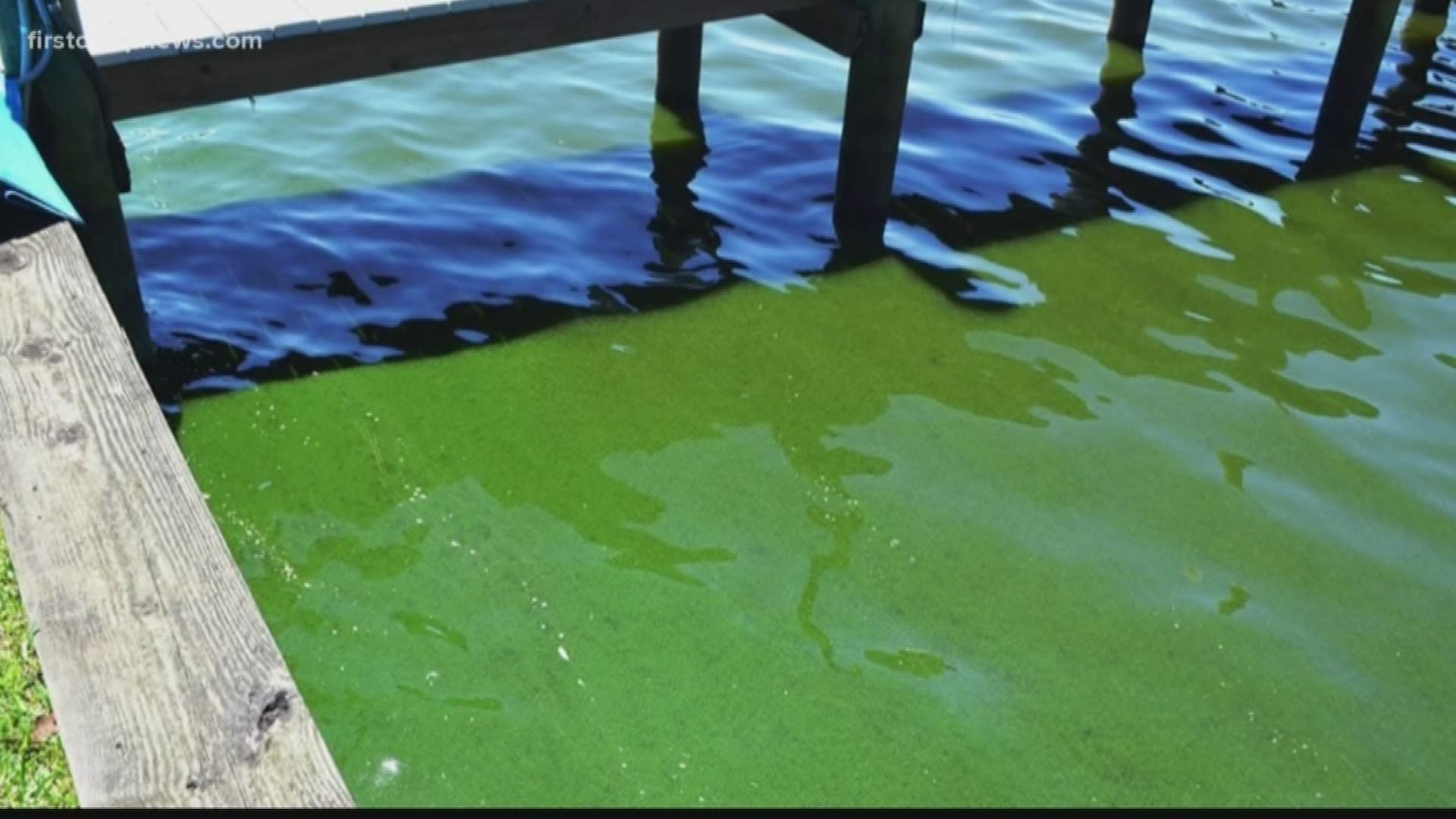 Experts say that while it's important to keep an eye on the algae bloom, its also important not to go into a panic. For now, the fishing tournament is expected to go on as scheduled.