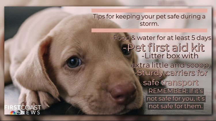 pets safe