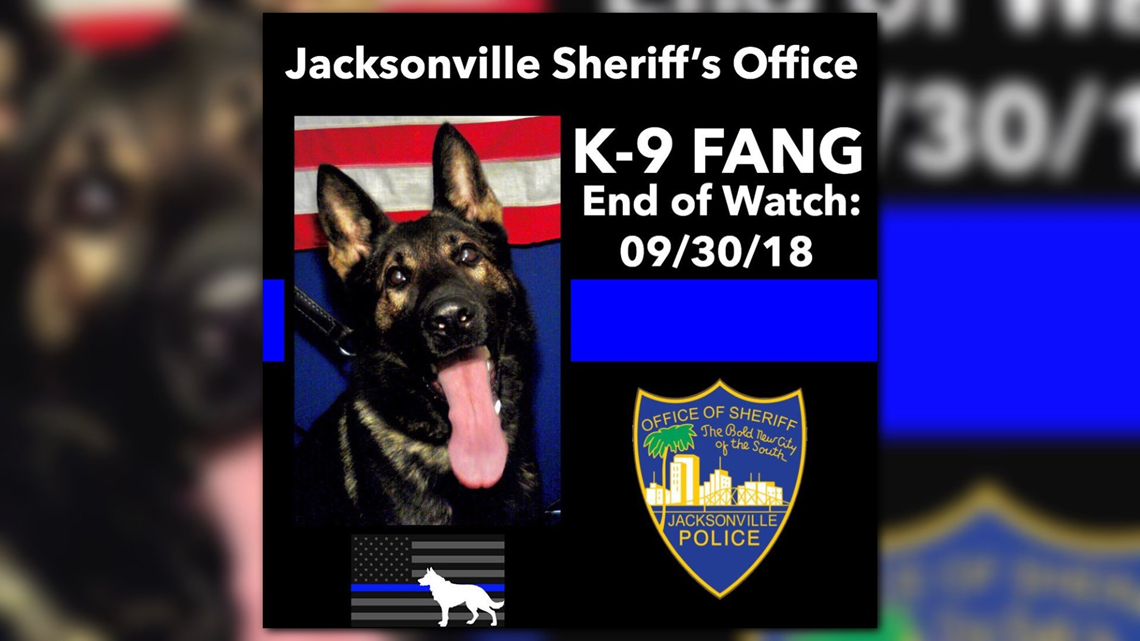 JSO K-9 shot, killed during carjacking pursuit; suspected carjacker  arrested | firstcoastnews.com