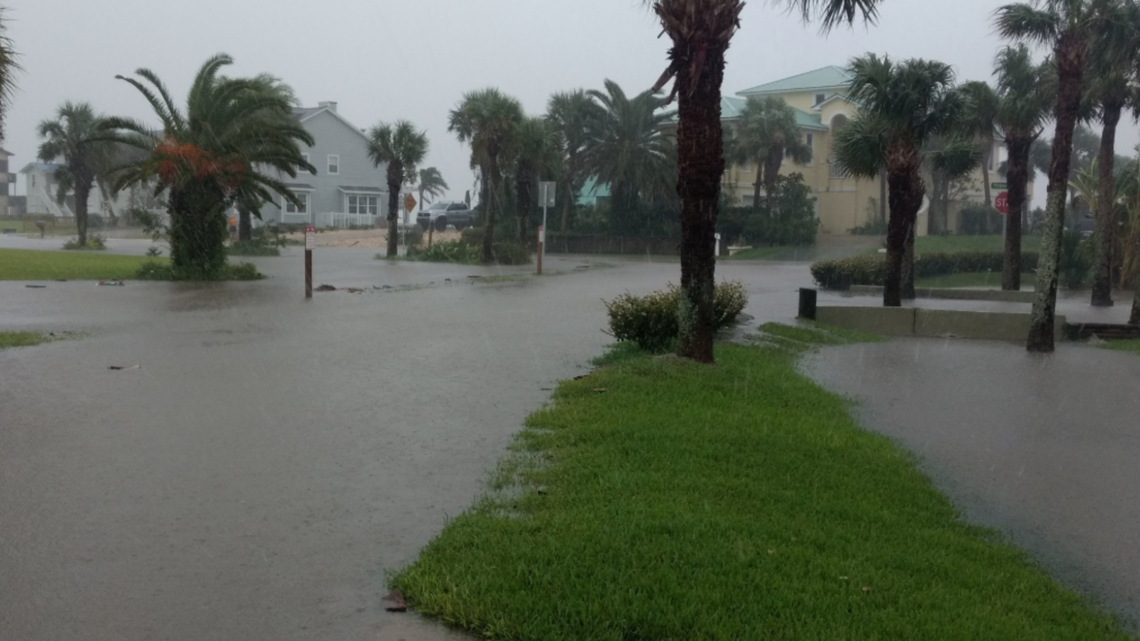 Your Photos of Hurricane Dorian: crashing surf, fallen 