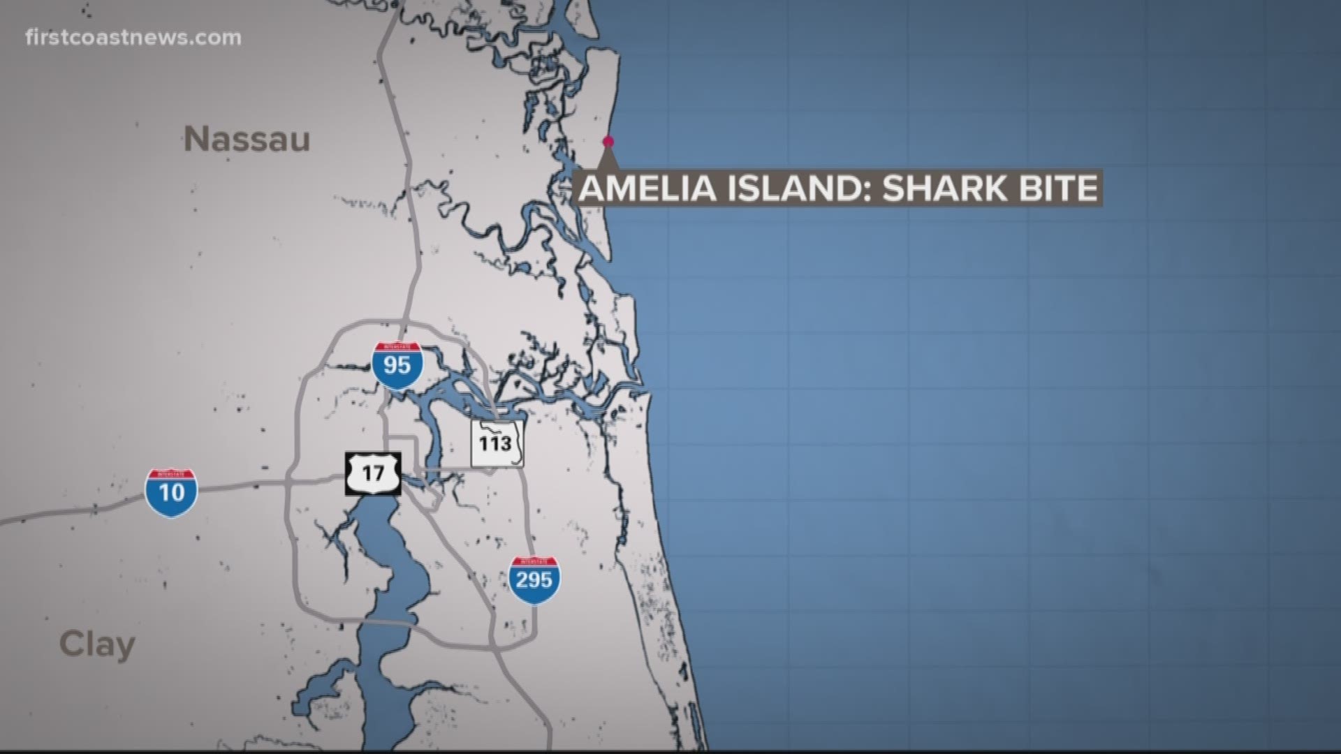 16 Year Old Girl Reportedly Bitten By Shark In Amelia Island