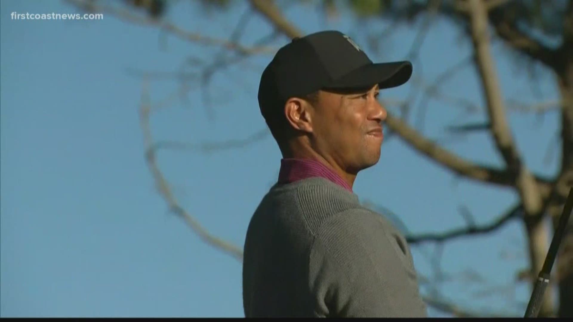 Tiger Woods has committed to taking part in The Players Championship at TPC Sawgrass.