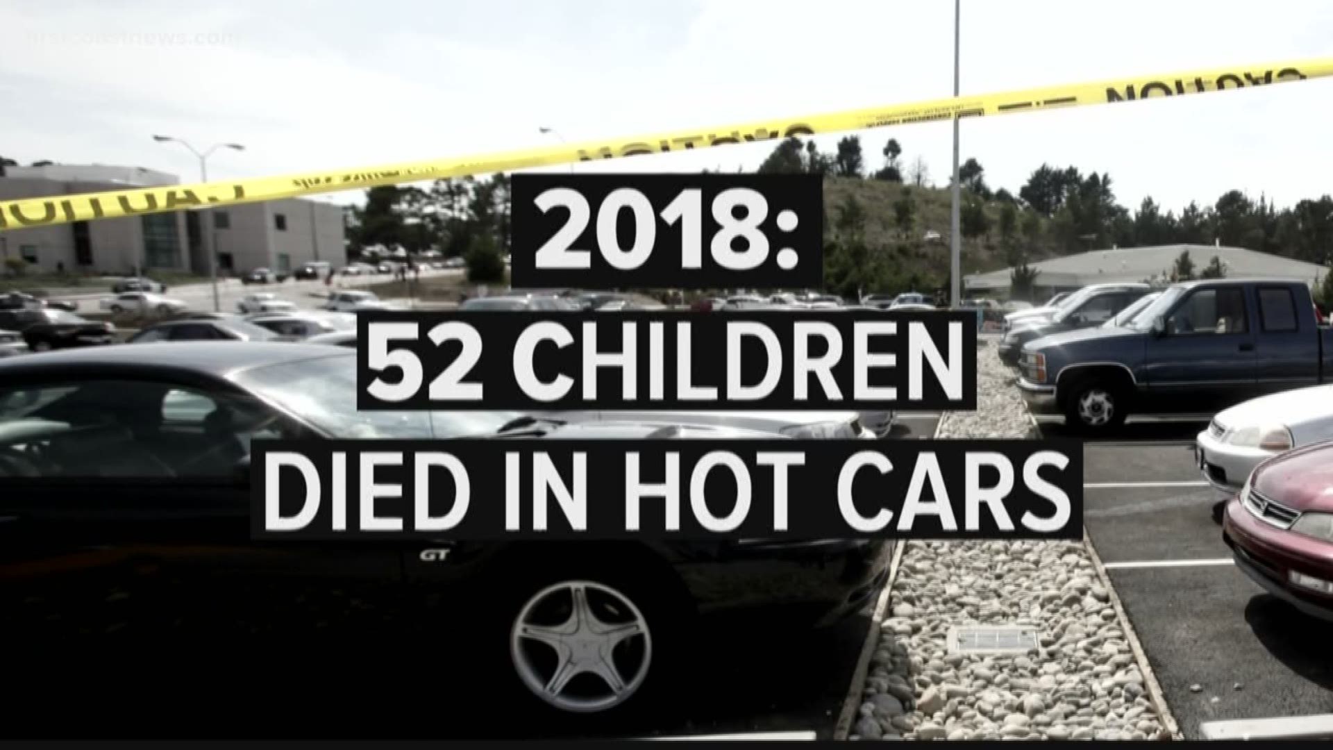 This Summer Kids and Cars had legislation introduced in congress to create the Hot Cars Act.