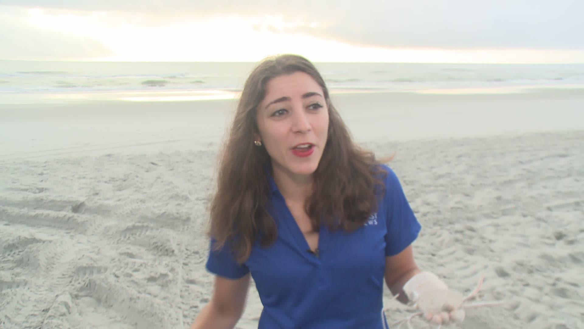 Volunteers at Amelia Island and Jacksonville's beaches say they're gathering gallons of trash every day.