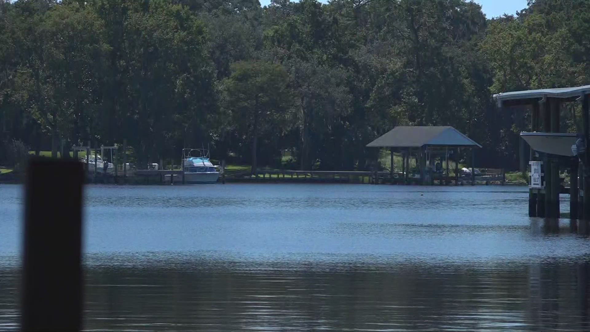 A man was found dead in the lake by Lake Shore Boulevard. A witness reported the discovery.