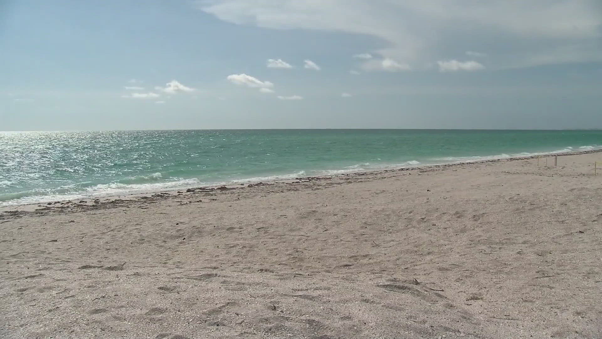 The child was attacked while snorkeling off the coast of Boca Grande in Florida.