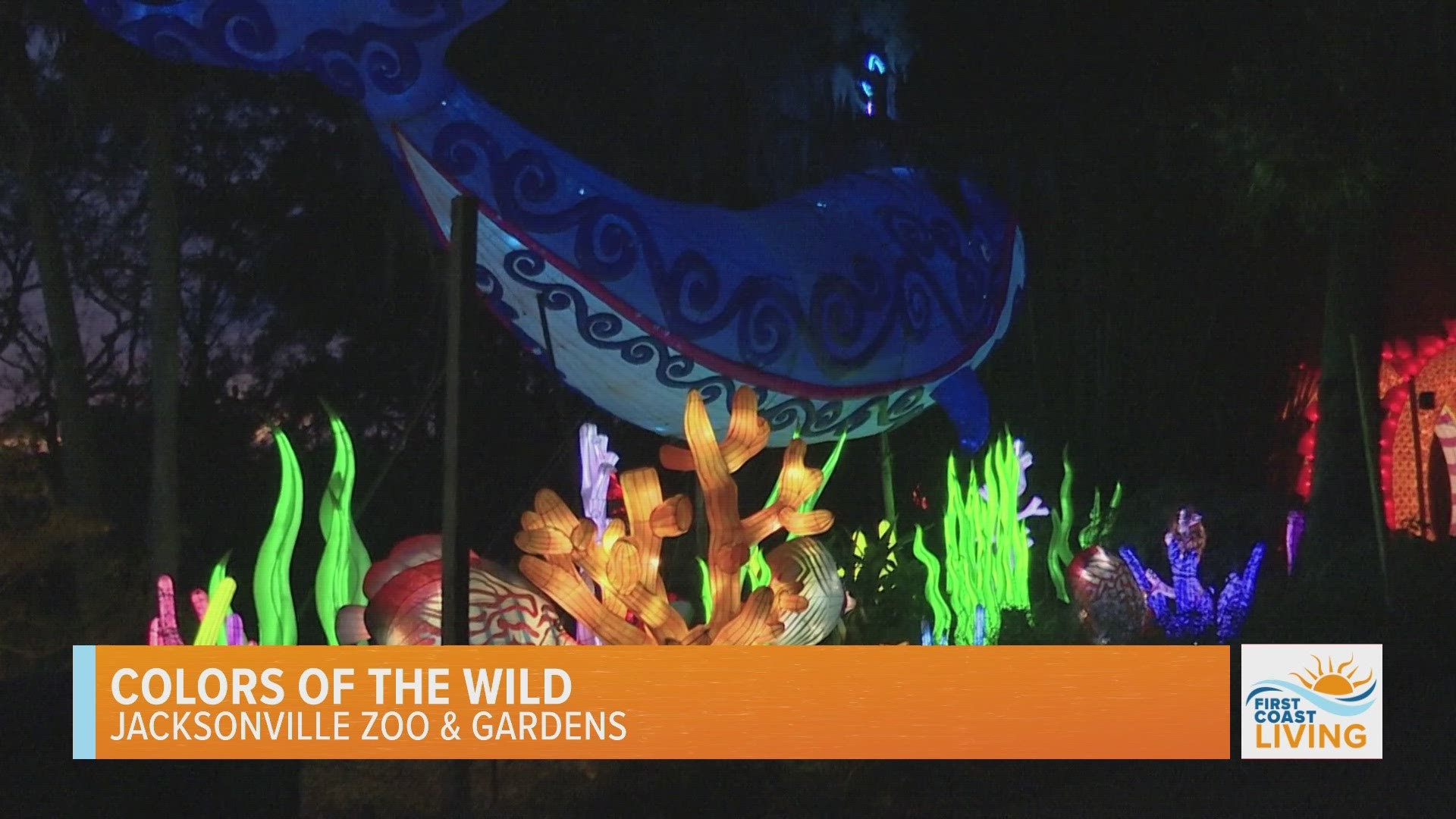 Colors of the Wild is held on select nights November through February, from 5:30 p.m. to 9:30 p.m.