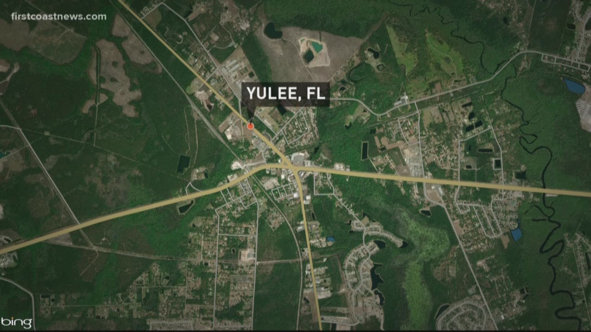 A Yulee teen has been charged with aggravated child abuse after witnesses say they saw a baby being dragged by a dog.