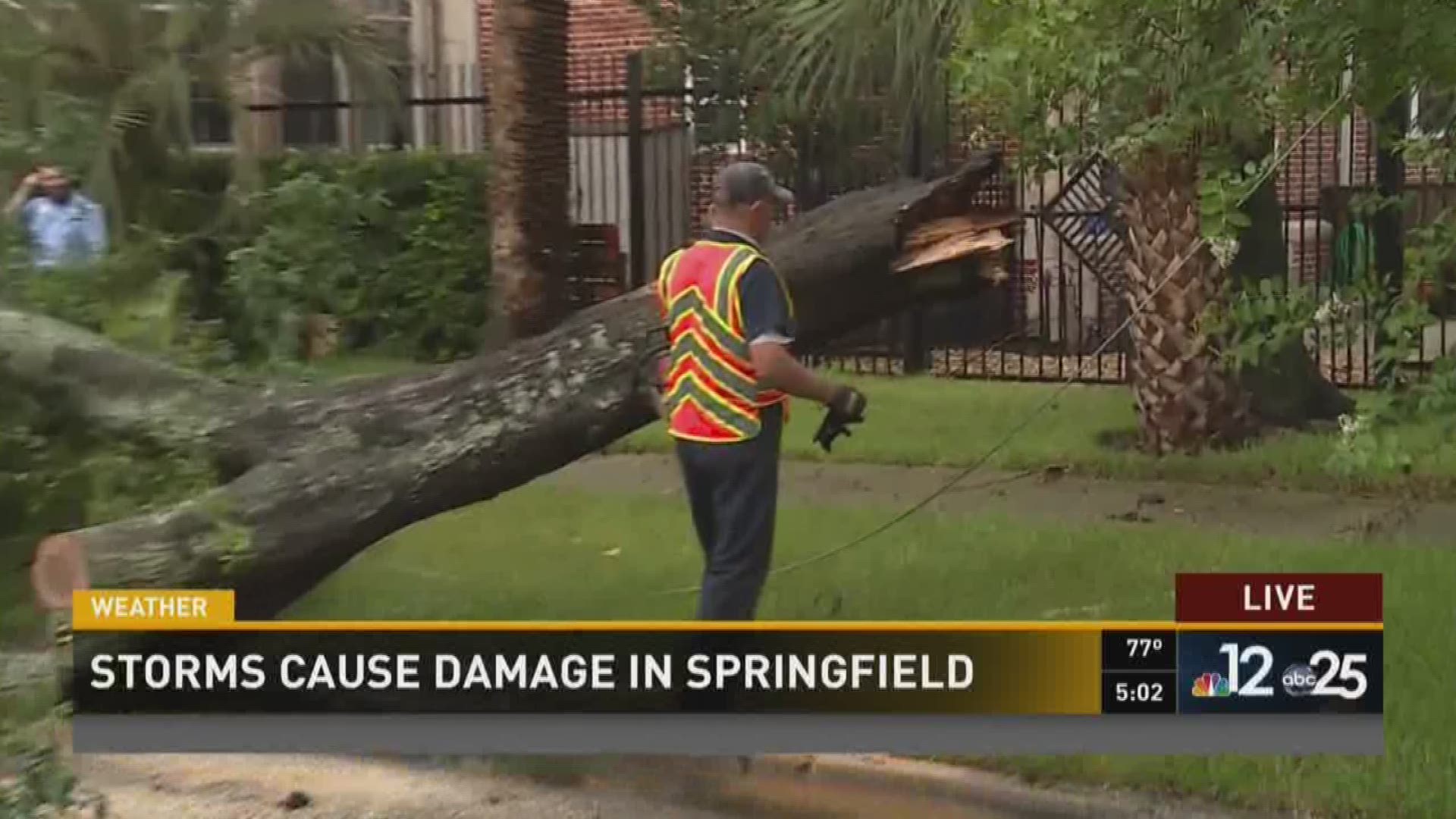 Storm Damage in Springfield