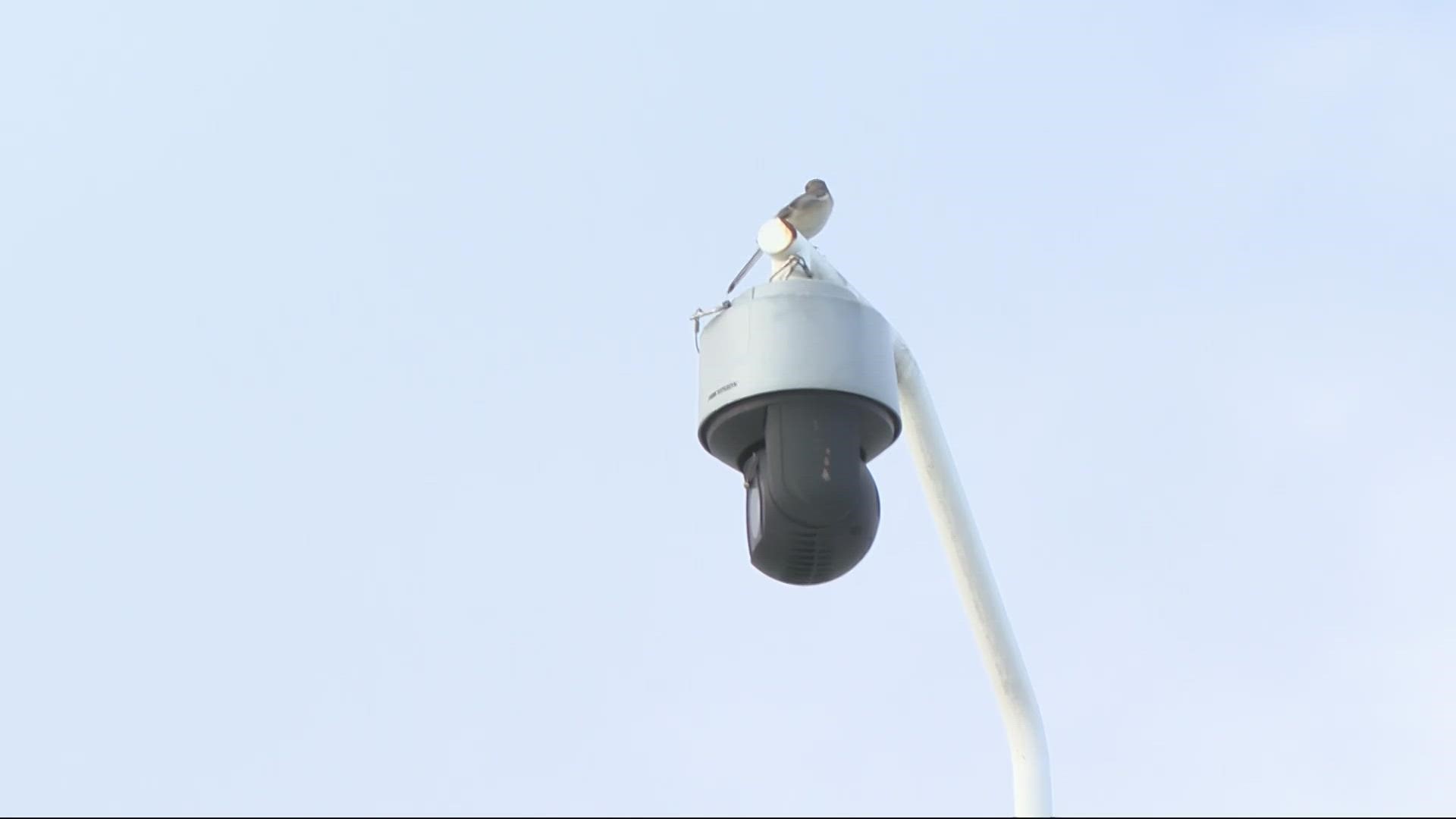 She's working with business owners to get them to turn off bright lights in Downtown Jacksonville at night.