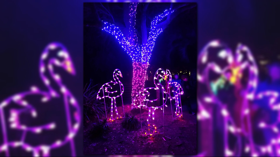 ZOOLights is back this week at the Jacksonville Zoo and Gardens