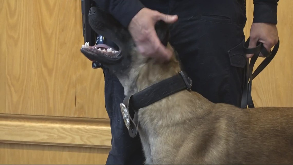 Jacksonville police introduce first firearms detection K-9