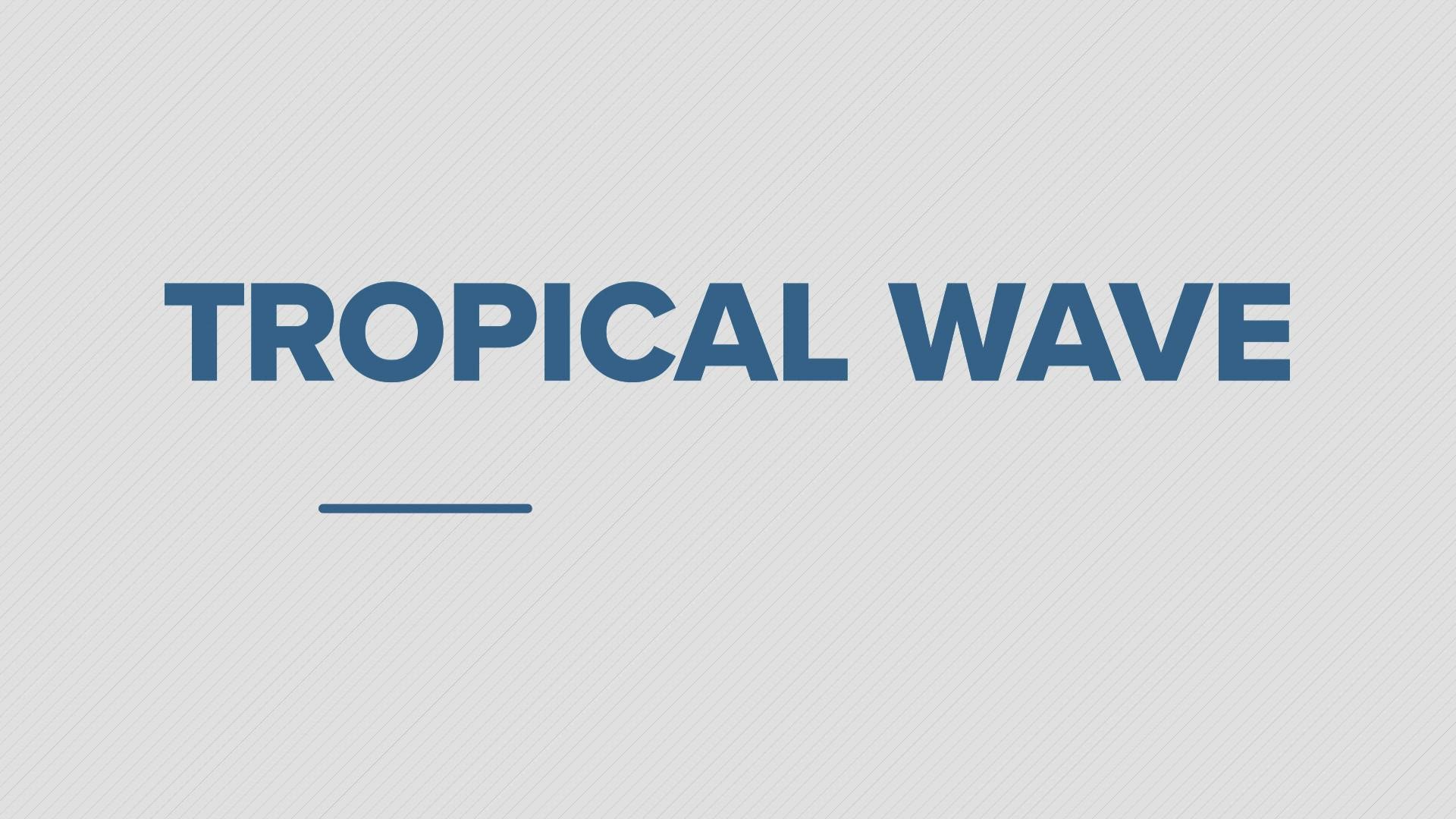 Tropical wave, invest, cyclone - do you know what these terms means?