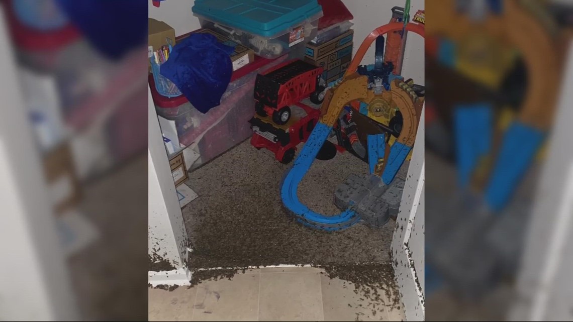 Jacksonville woman wants answers after apartment floods - Vimarsana News
