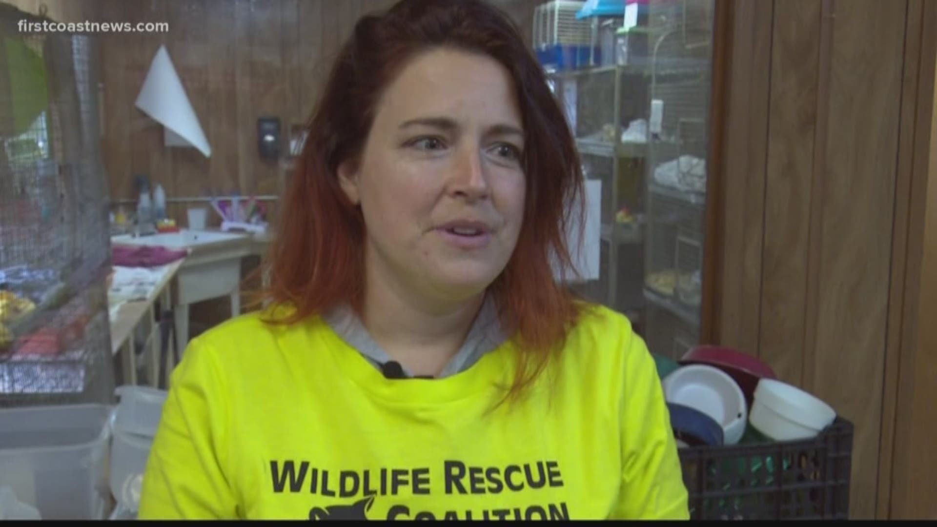 Cheerios surprises Wildlife Coalition with major donation