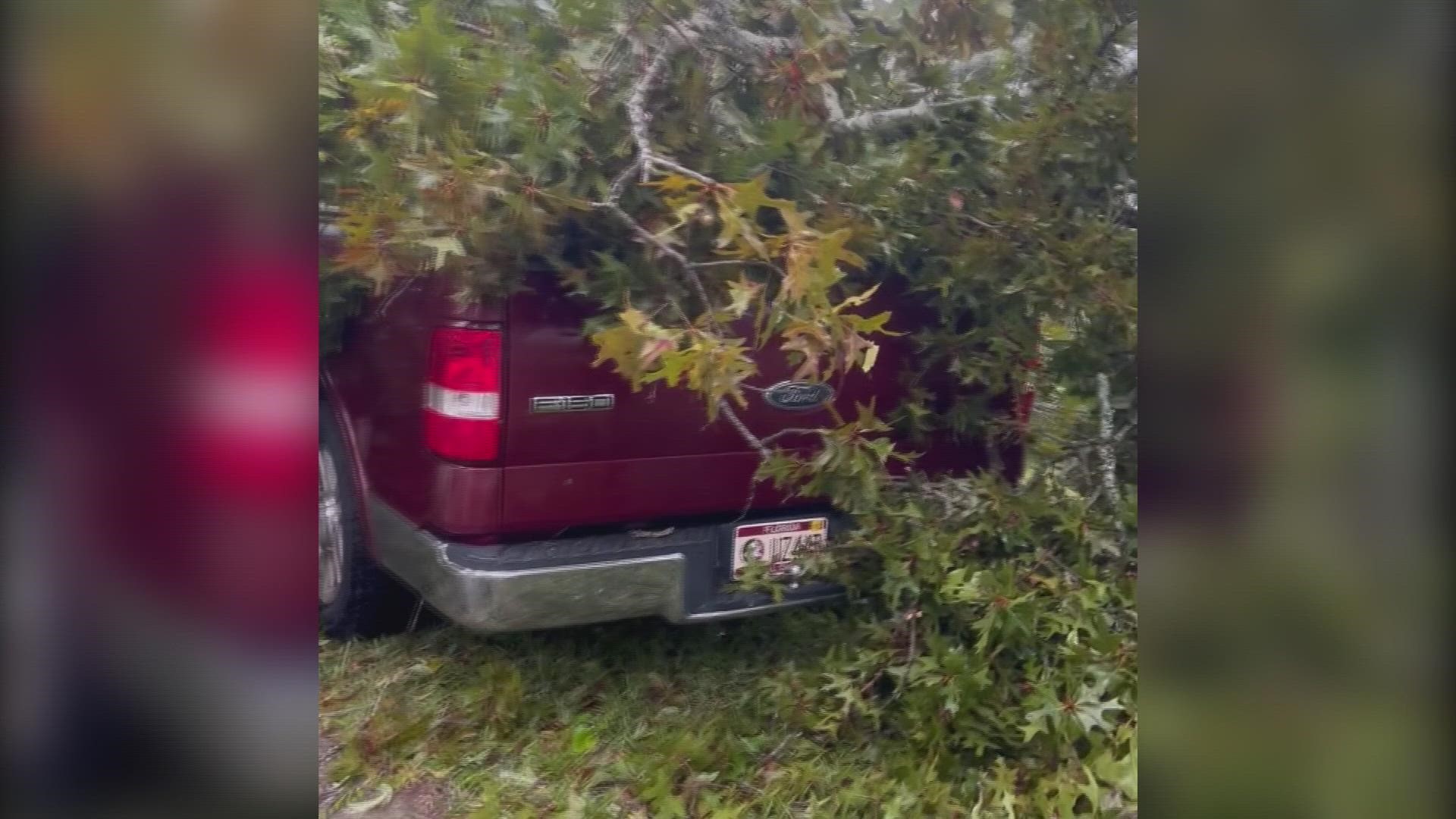 According to Shawn's wife April Terrell, Shawn got out of the cab moments before a tree fell on his truck.