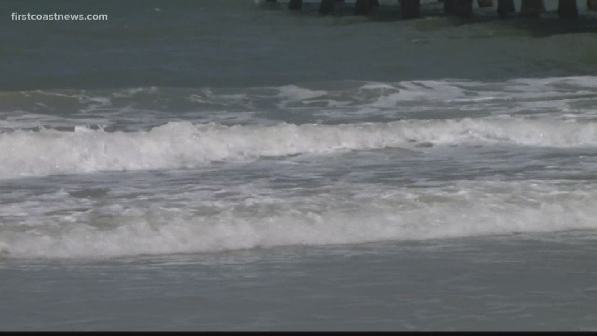 After a surfer was bitten by a shark on Jacksonville Beach over the weekend, you may be wondering what you should do to stay safe when out in the water.