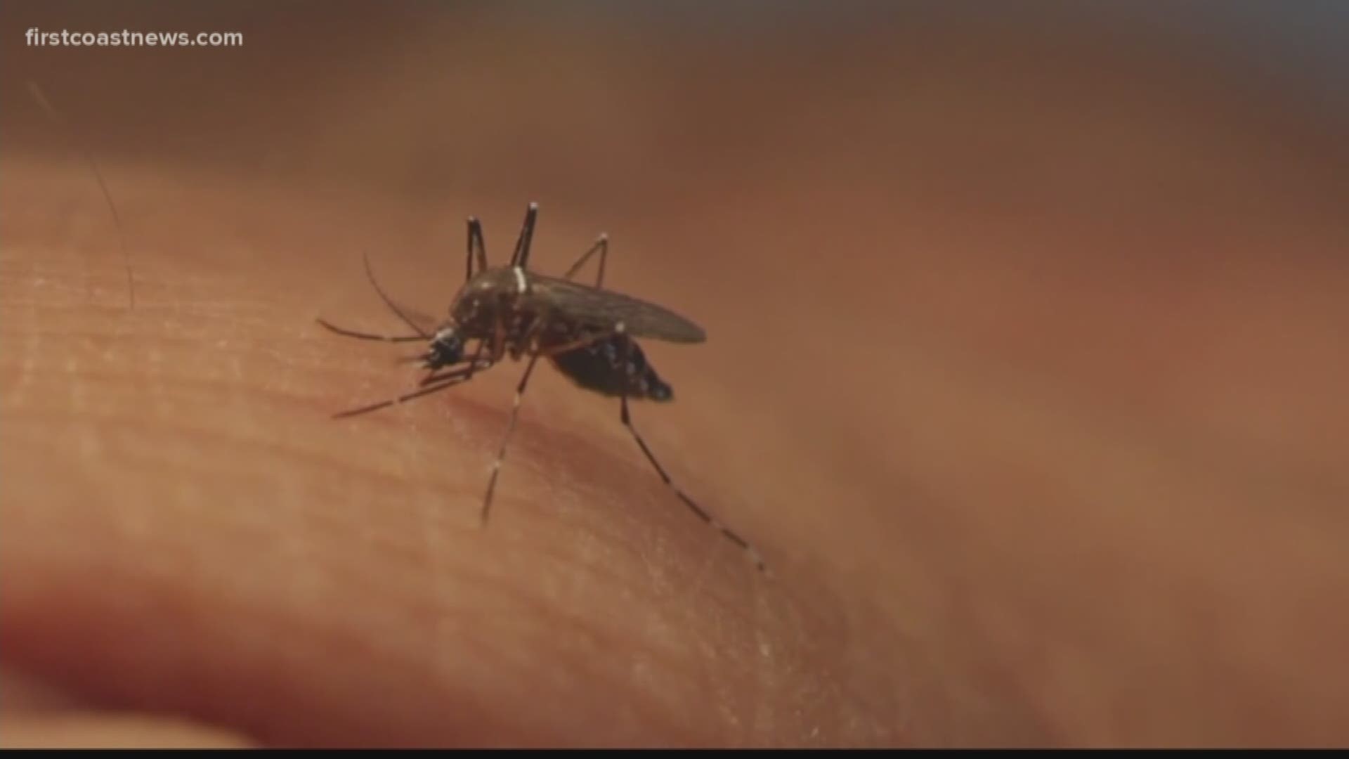 Officials have seen an increase in mosquito borne illness in recent samples from Putnam Co. chicken.