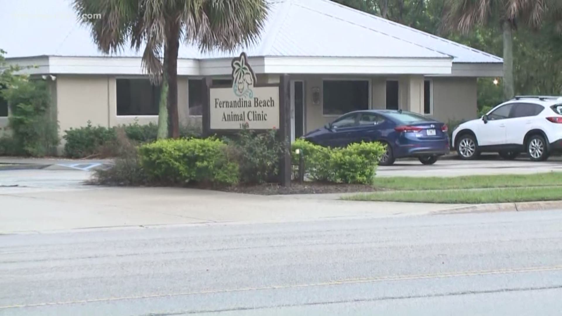 A Fernandina Beach man who shot and killed a dog that both he and police say attacked his dog told First Coast News he believed his dog?s life was at risk.