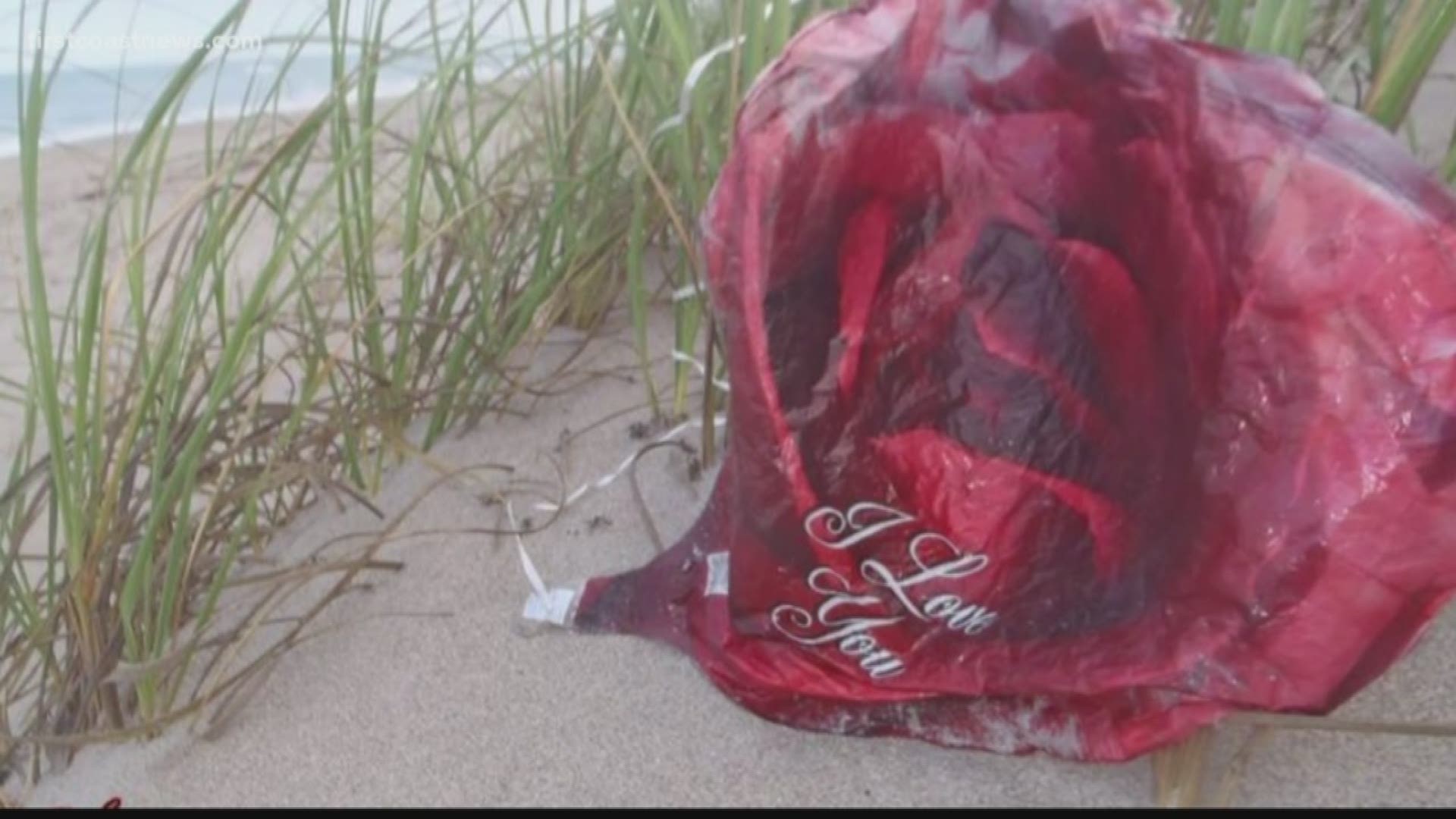 It's already illegal statewide, but Fernandina Beach is doubling down on a balloon release ban to protect the environment.