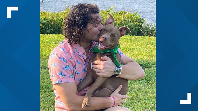 Jacksonville Jaguars Kicker Josh Lambo is Footing the Bill for Dogs'  Forever Homes