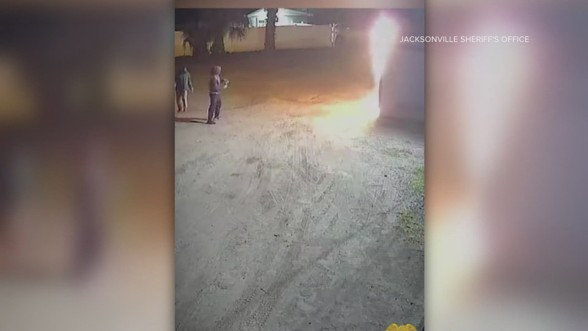 Police are asking that the public help identify people seen on video throwing bottles at a home, causing explosions.