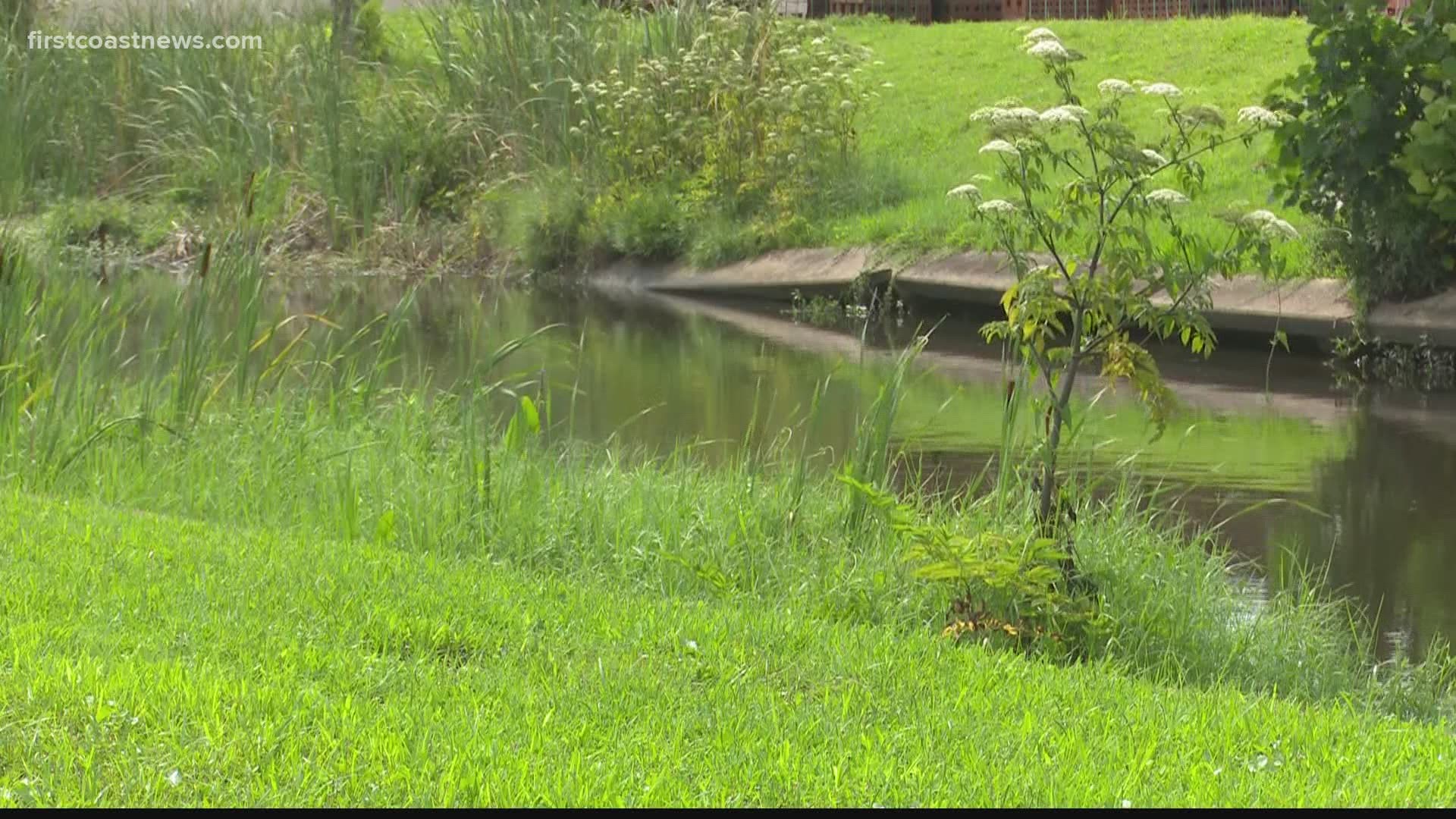 Mixon Town residents concerned about flooding from nearby creek