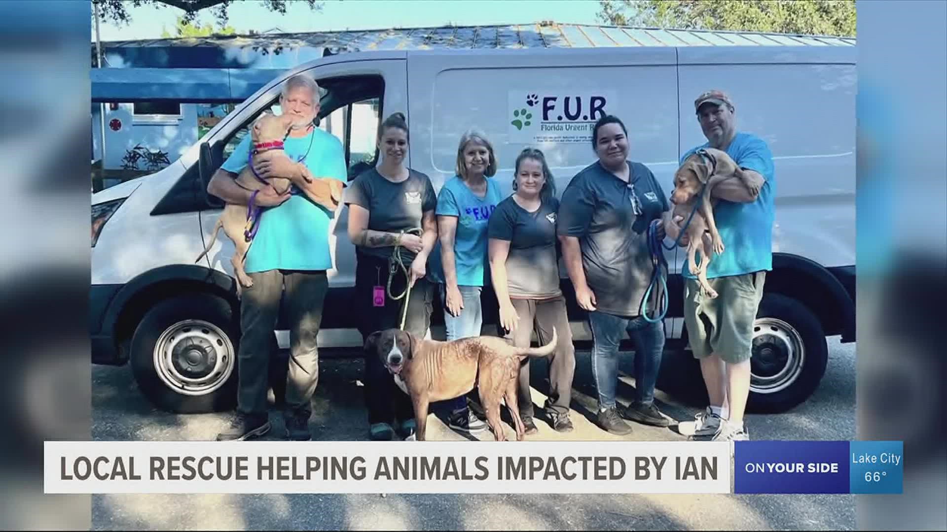 One local rescue on the First Coast is helping animals after Hurricane Ian left them in need.