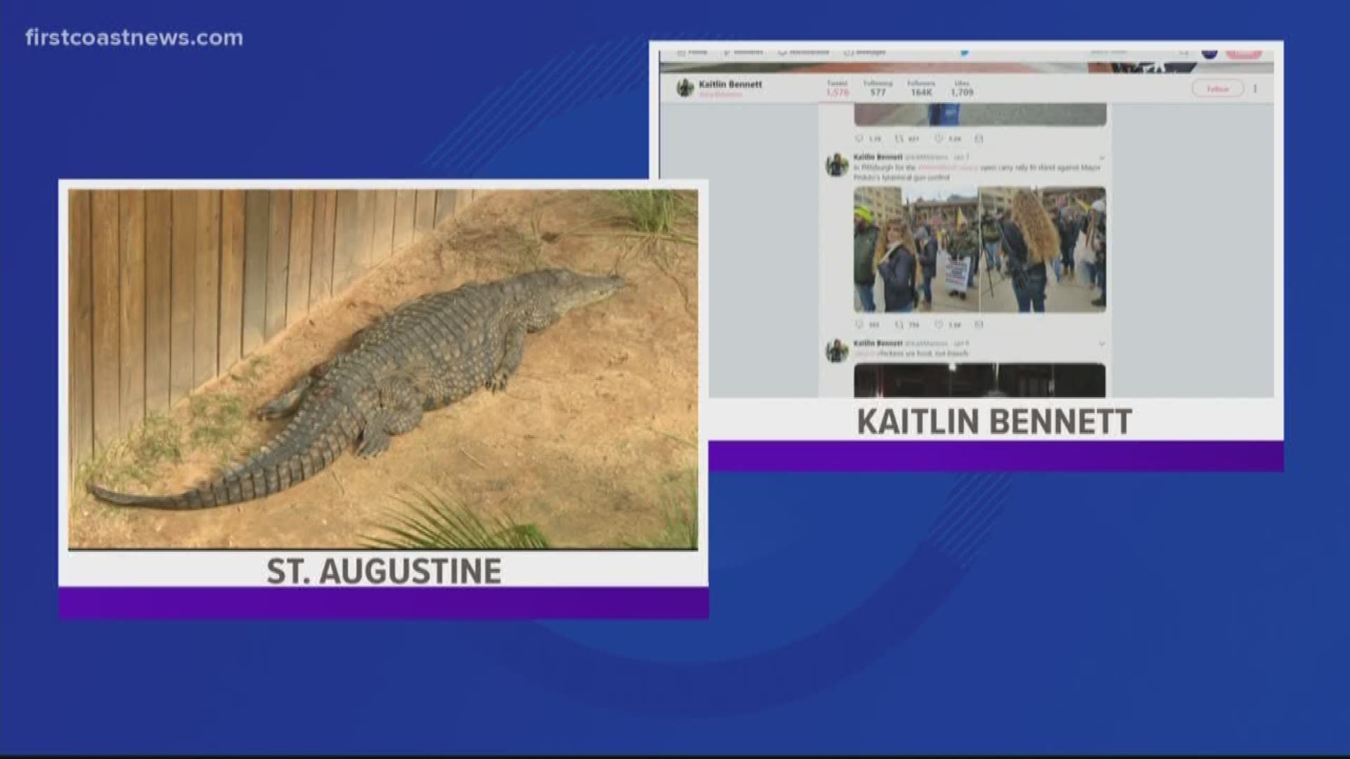 Kent State University graduate Kaitlin Bennett, 22, ignited a firestorm on social media in May 2018 after posting a photo of her carrying an AR-10, while holding a graduation cap. Her notoriety didn't go over well with Ethan Patterson, a former employee at St. Augustine's Alligator Farm. He encountered Bennett there recently and tweeted that he wanted to feed her to the gators.