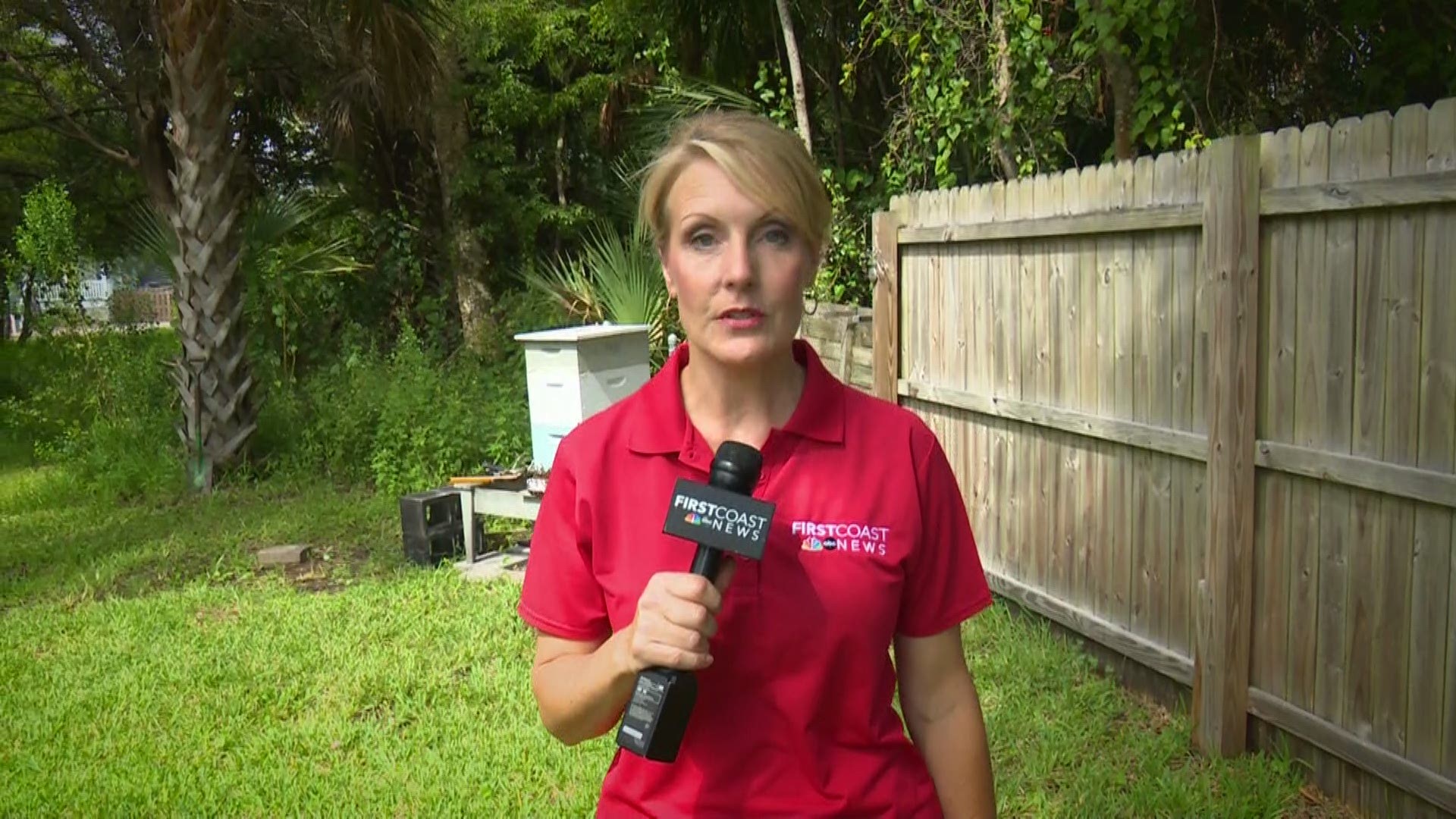 St. Augustine beekeeper Denise DeClair is trying to figure out how to keep her 60,000 bees from drowning during Hurricane Dorian,