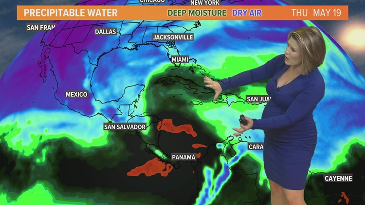 Hot, humid with isolated pop-up downpours after 2 p.m. in north Florida
