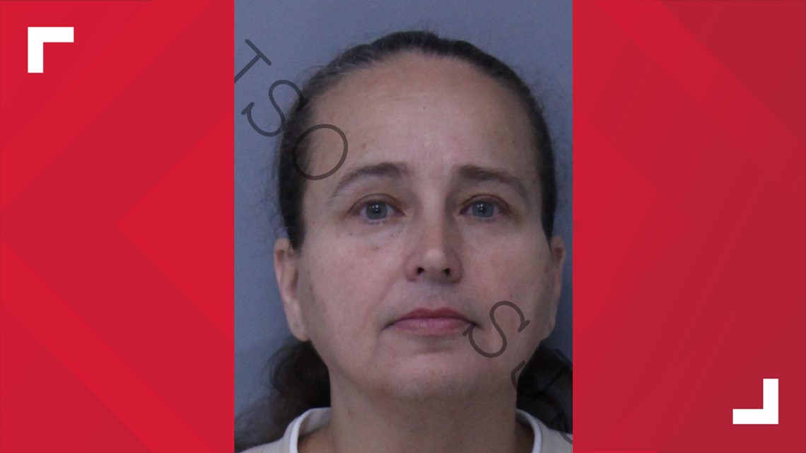 Interlachen woman accused of illegal adoption scheme