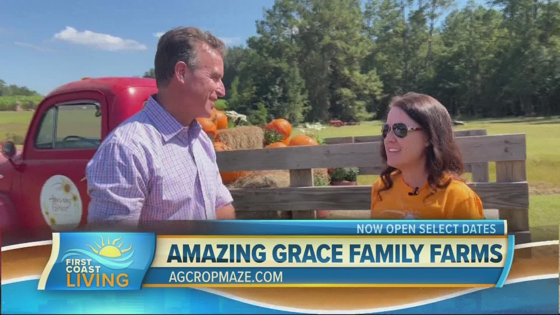 Do you love celebrating everything fall? Amazing Grace Family Farms has you covered with a crop maze, pumpkins, animals, games, food and even a covered bridge.