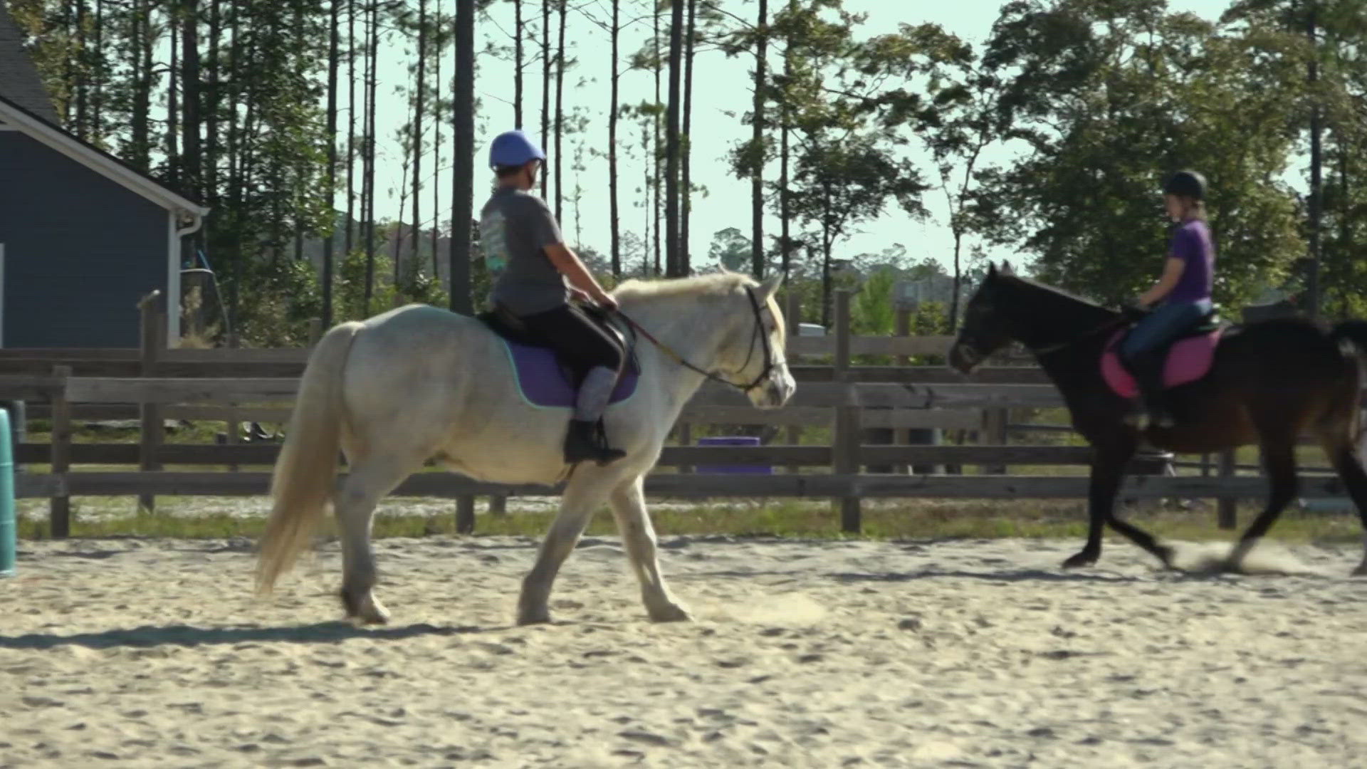 A major land use proposal in Nassau Co. is drawing concern from neighbors; a nonprofit known for providing horse therapy to people with special needs speaks out.